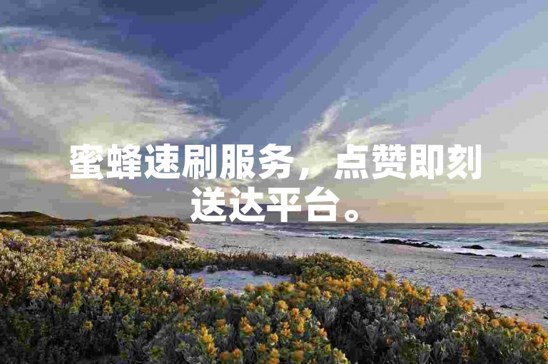 蜜蜂速刷服务，点赞即刻送达平台。