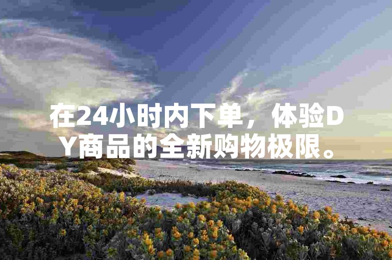 在24小时内下单，体验DY商品的全新购物极限。
