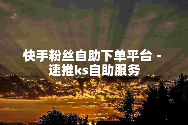 快手粉丝自助下单平台 - 速推ks自助服务