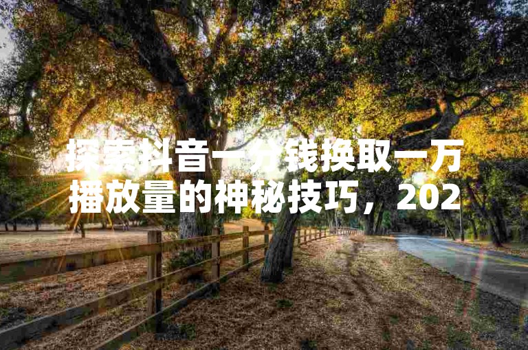 探索抖音一分钱换取一万播放量的神秘技巧，2024年必备技能揭秘！