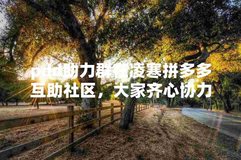 pdd助力群在凌寒拼多多互助社区，大家齐心协力共筑梦想之桥。
