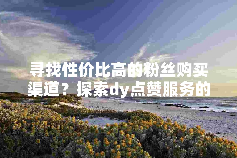 寻找性价比高的粉丝购买渠道？探索dy点赞服务的超值选择。