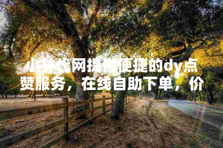 小林代网提供便捷的dy点赞服务，在线自助下单，价格实惠。