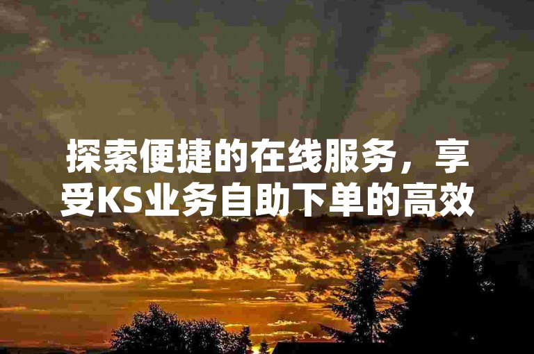 探索便捷的在线服务，享受KS业务自助下单的高效体验，轻松获取dy业务的超值优惠，一键解锁更多可能！