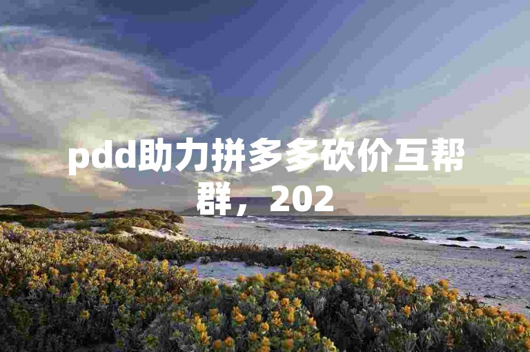 pdd助力拼多多砍价互帮群，2025年最新版火热上线！