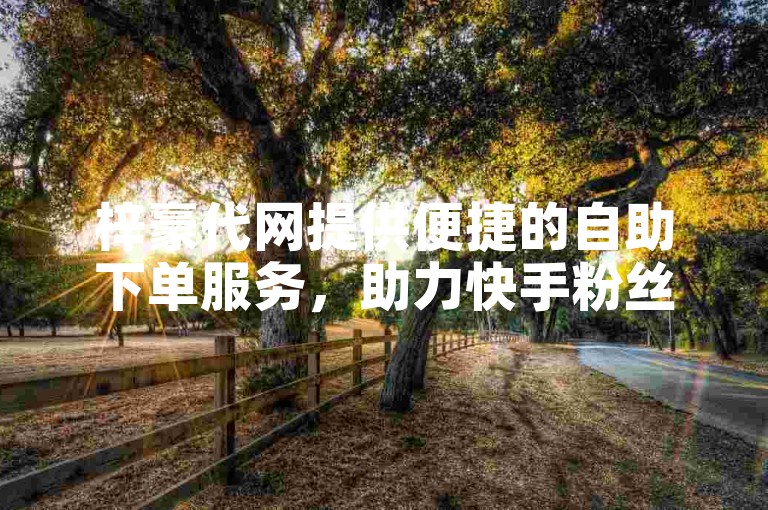 梓豪代网提供便捷的自助下单服务，助力快手粉丝快速增长。