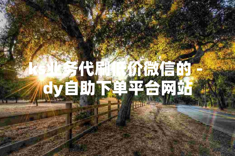 ks业务代刷低价微信的 - dy自助下单平台网站