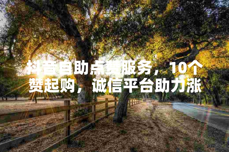 抖音自助点赞服务，10个赞起购，诚信平台助力涨赞。