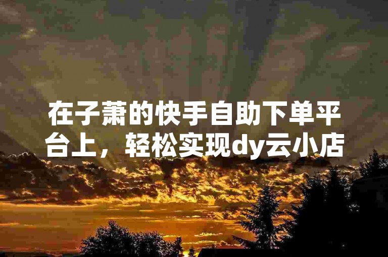 在子萧的快手自助下单平台上，轻松实现dy云小店的自助下单服务。