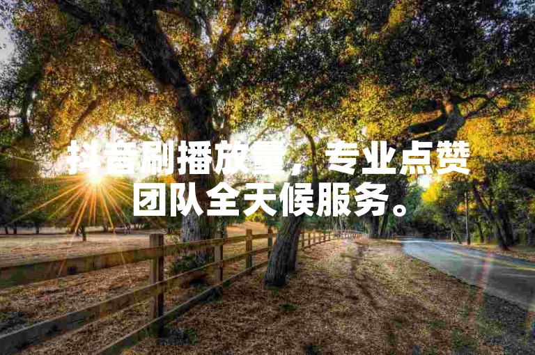 抖音刷播放量，专业点赞团队全天候服务。