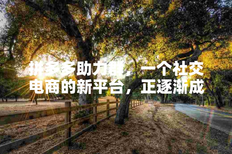 拼多多助力群，一个社交电商的新平台，正逐渐成为消费者获取优惠和分享购物体验的热门场所。