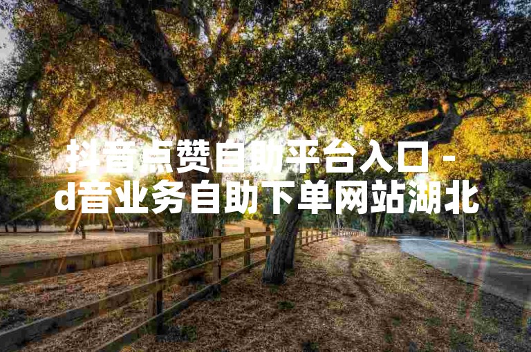 抖音点赞自助平台入口 - d音业务自助下单网站湖北