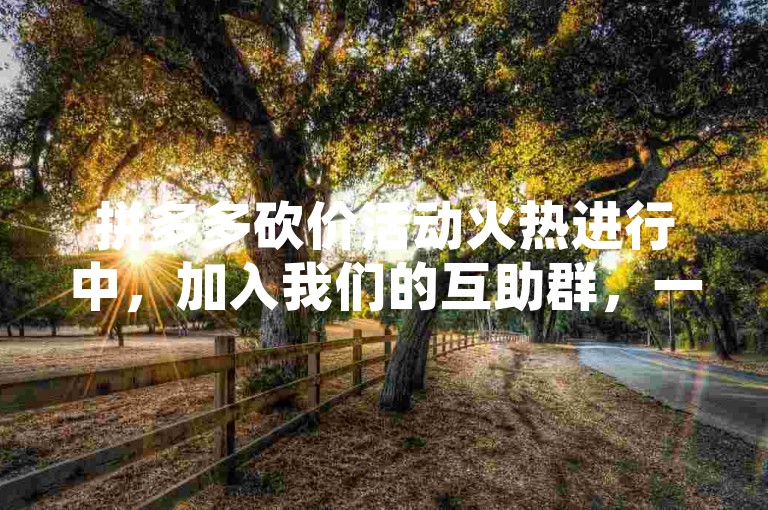 拼多多砍价活动火热进行中，加入我们的互助群，一起享受砍价的乐趣吧！