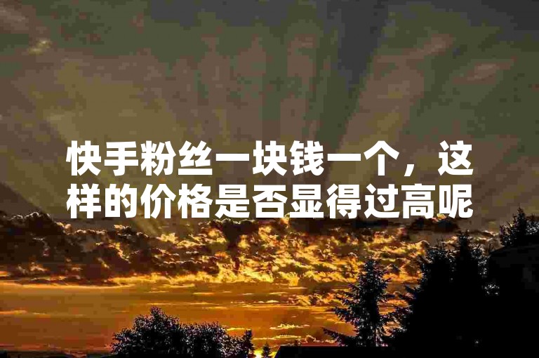 快手粉丝一块钱一个，这样的价格是否显得过高呢？