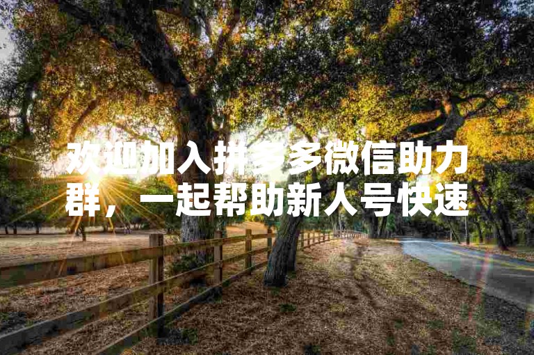 欢迎加入拼多多微信助力群，一起帮助新人号快速成长！