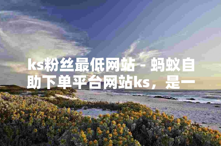 ks粉丝最低网站 - 蚂蚁自助下单平台网站ks，是一个提供便捷服务的网络平台。