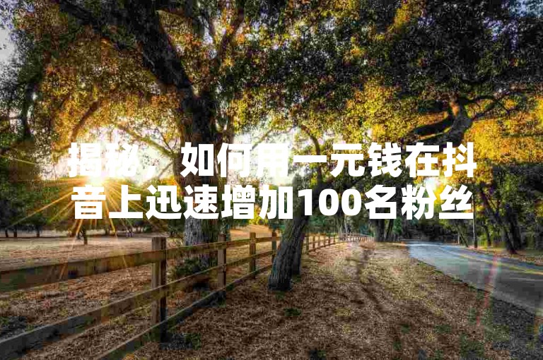 揭秘，如何用一元钱在抖音上迅速增加100名粉丝，2024年必备技巧！
