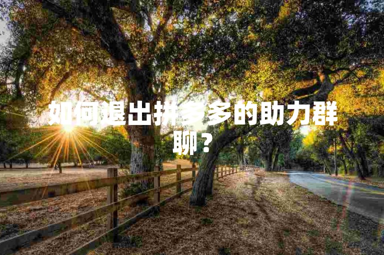 如何退出拼多多的助力群聊？