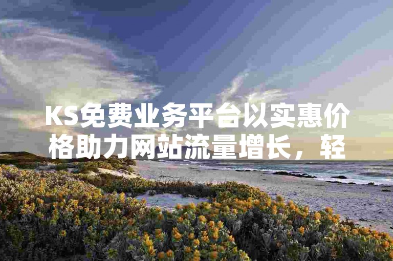 KS免费业务平台以实惠价格助力网站流量增长，轻松实现网络推广。