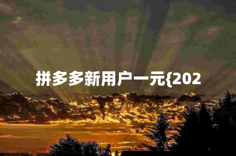 拼多多新用户一元{2025多多助力群}