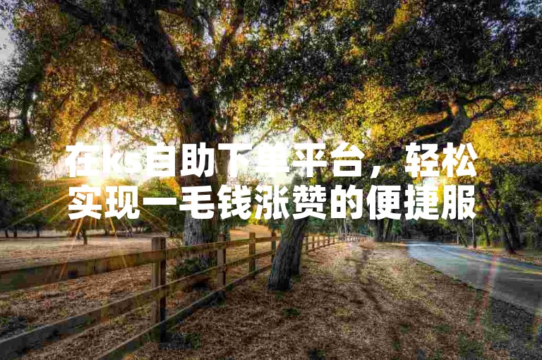 在ks自助下单平台，轻松实现一毛钱涨赞的便捷服务。