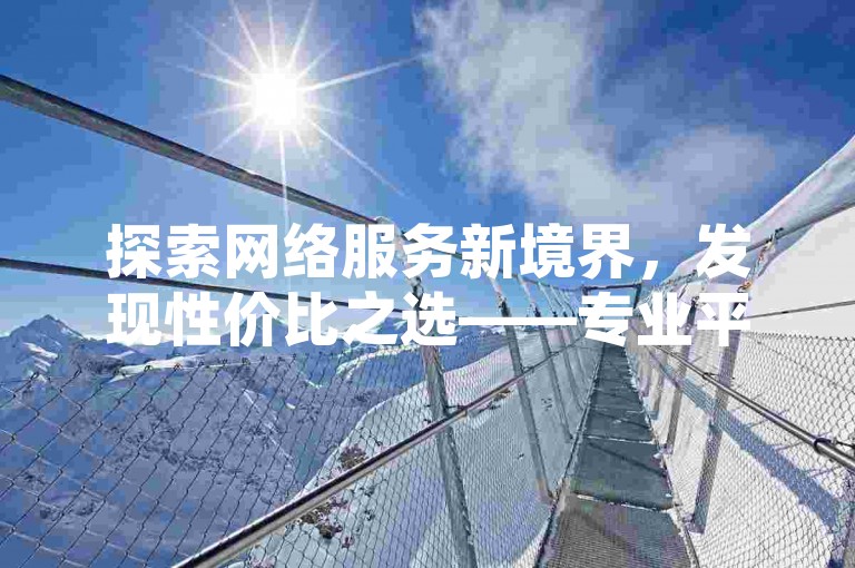 探索网络服务新境界，发现性价比之选——专业平台提供高效低价自助下单体验。