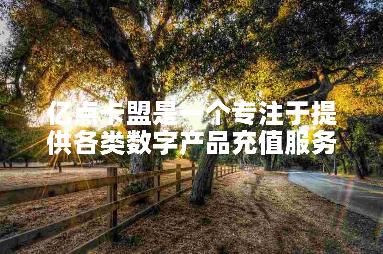 亿点卡盟是一个专注于提供各类数字产品充值服务的平台，致力于为广大用户带来便捷、高效的充值体验。