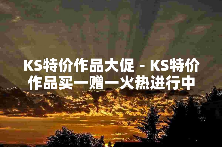 KS特价作品大促 - KS特价作品买一赠一火热进行中！