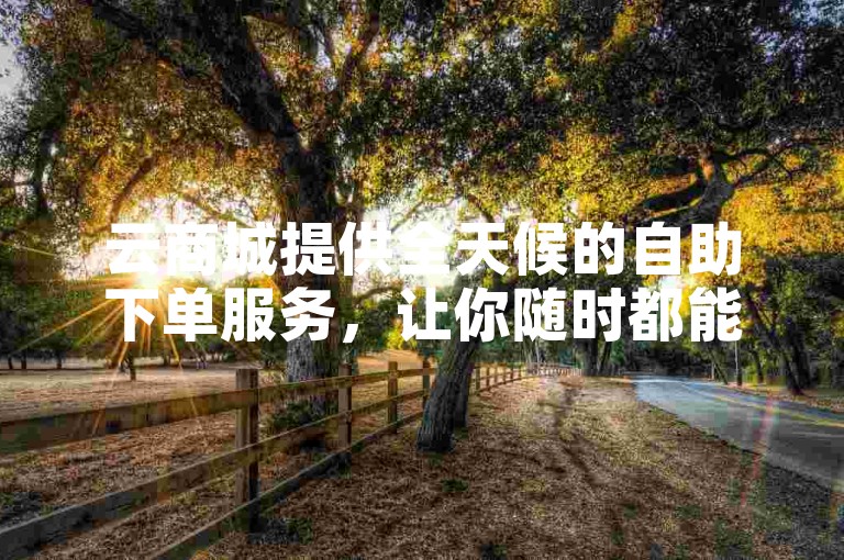 云商城提供全天候的自助下单服务，让你随时都能轻松购物。
