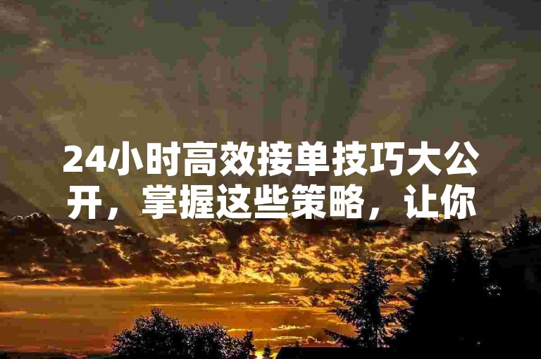 24小时高效接单技巧大公开，掌握这些策略，让你在2025年轻松成为秒单高手！