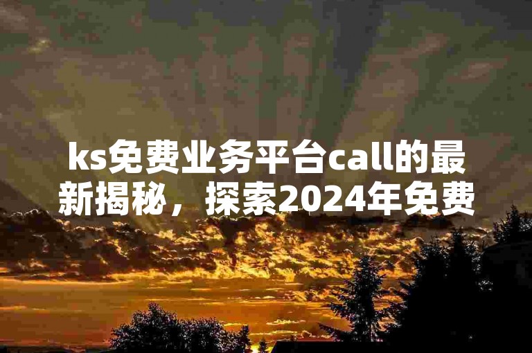 ks免费业务平台call的最新揭秘，探索2024年免费业务平台ks call的创新服务！