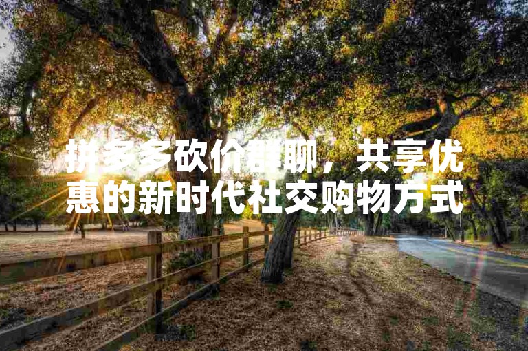 拼多多砍价群聊，共享优惠的新时代社交购物方式。
