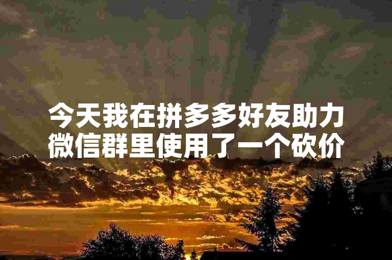 今天我在拼多多好友助力微信群里使用了一个砍价软件。