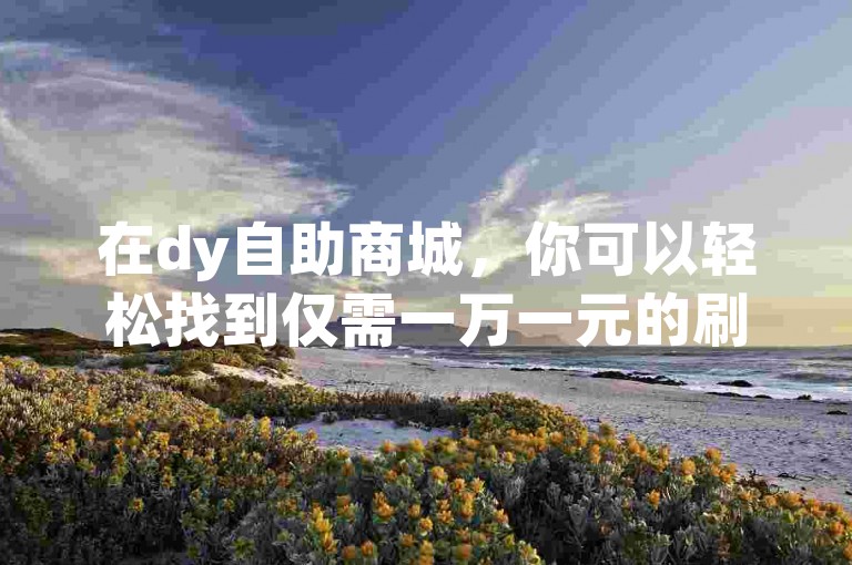在dy自助商城，你可以轻松找到仅需一万一元的刷qq空间访客量服务。