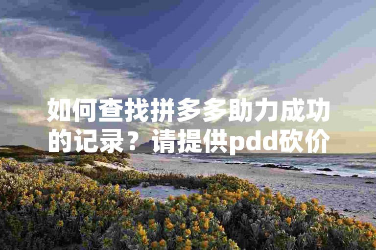 如何查找拼多多助力成功的记录？请提供pdd砍价软件的相关信息。