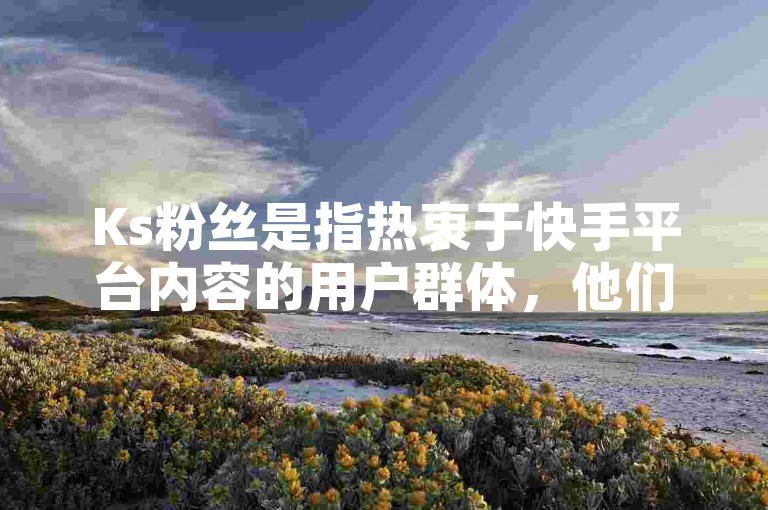 Ks粉丝是指热衷于快手平台内容的用户群体，他们积极互动、关注喜爱的创作者。