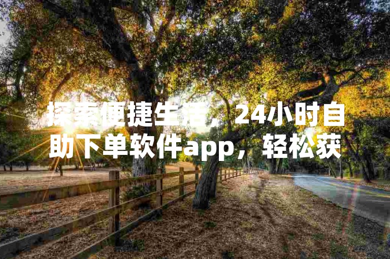 探索便捷生活，24小时自助下单软件app，轻松获取dy业务服务。