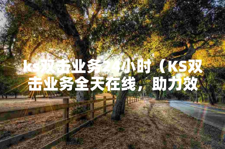 ks双击业务24小时（KS双击业务全天在线，助力效率提升）