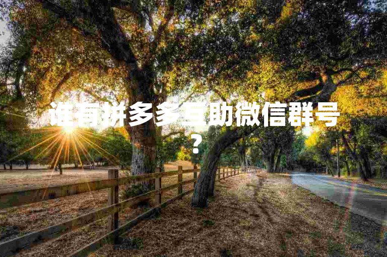 谁有拼多多互助微信群号？