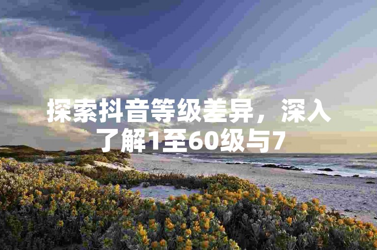探索抖音等级差异，深入了解1至60级与75级用户之间的独特区别！