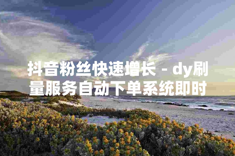 抖音粉丝快速增长 - dy刷量服务自动下单系统即时处理