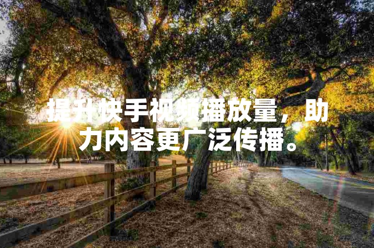 提升快手视频播放量，助力内容更广泛传播。