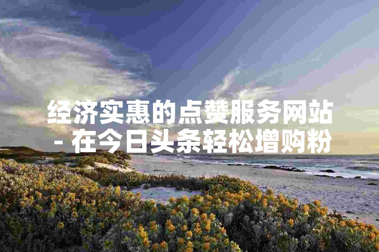 经济实惠的点赞服务网站 - 在今日头条轻松增购粉丝
