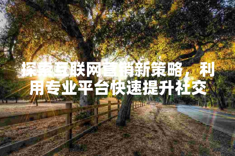 探索互联网营销新策略，利用专业平台快速提升社交媒体影响力。