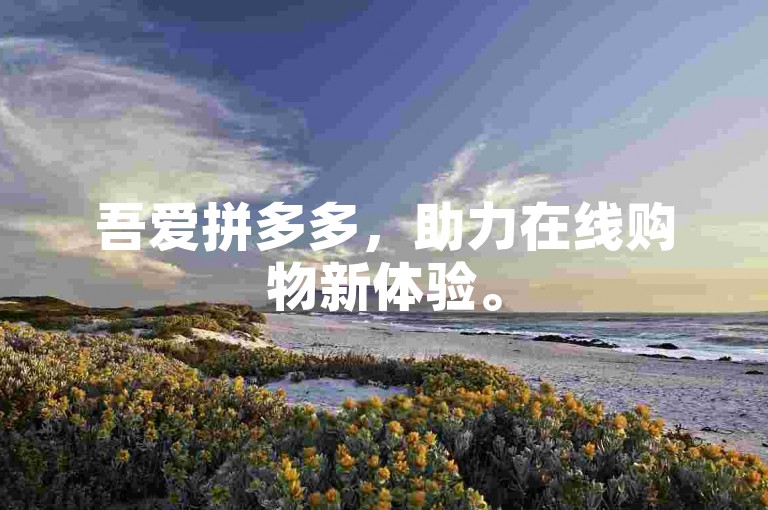 吾爱拼多多，助力在线购物新体验。
