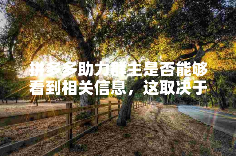 拼多多助力群主是否能够看到相关信息，这取决于平台的隐私设置和群组的管理权限。