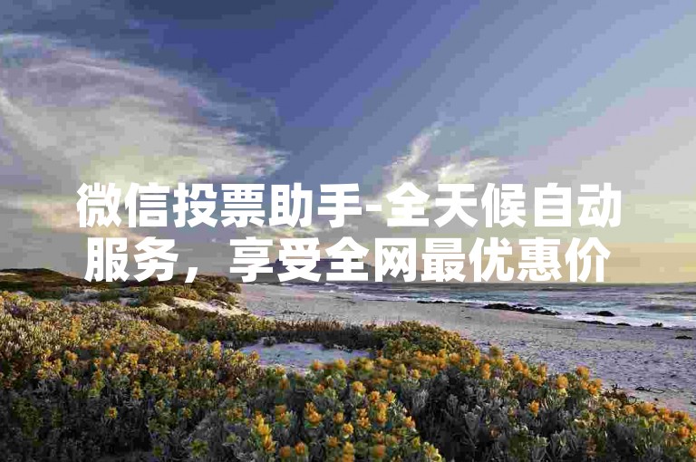 微信投票助手-全天候自动服务，享受全网最优惠价格。