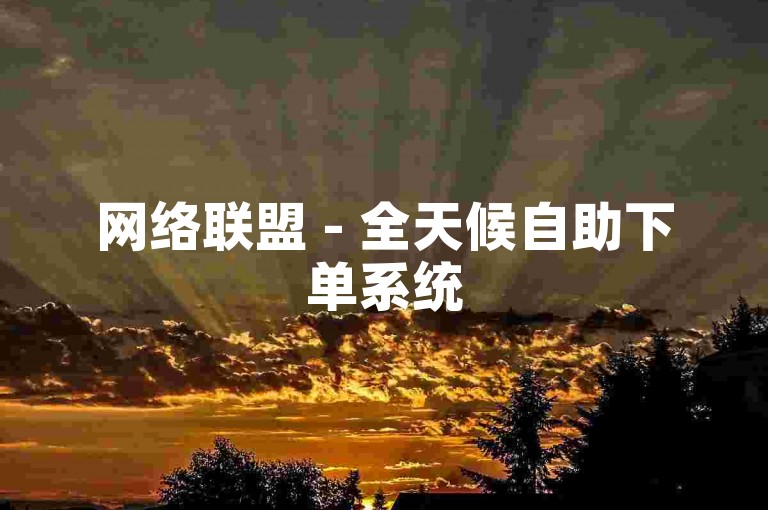 网络联盟 - 全天候自助下单系统