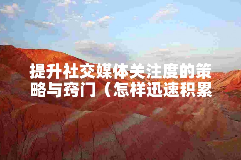 提升社交媒体关注度的策略与窍门（怎样迅速积累社交平台粉丝--高效方法揭秘）