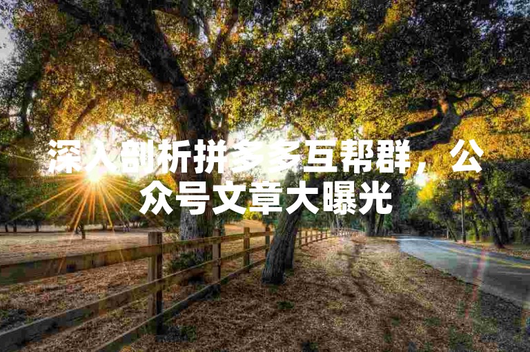 深入剖析拼多多互帮群，公众号文章大曝光